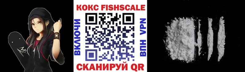 Cocaine Fish Scale  гидра зеркало  Гаврилов Посад 