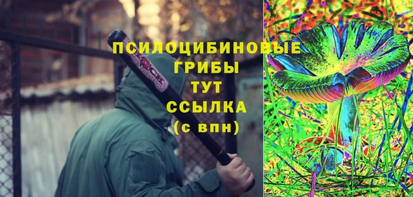 прущий лед Алексеевка