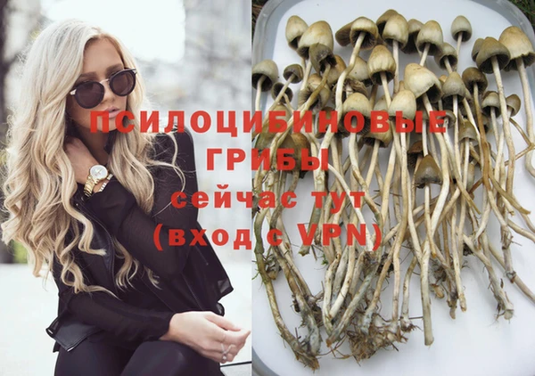 прущий лед Алексеевка