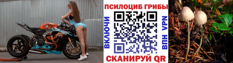 Псилоцибиновые грибы мицелий  Гаврилов Посад 